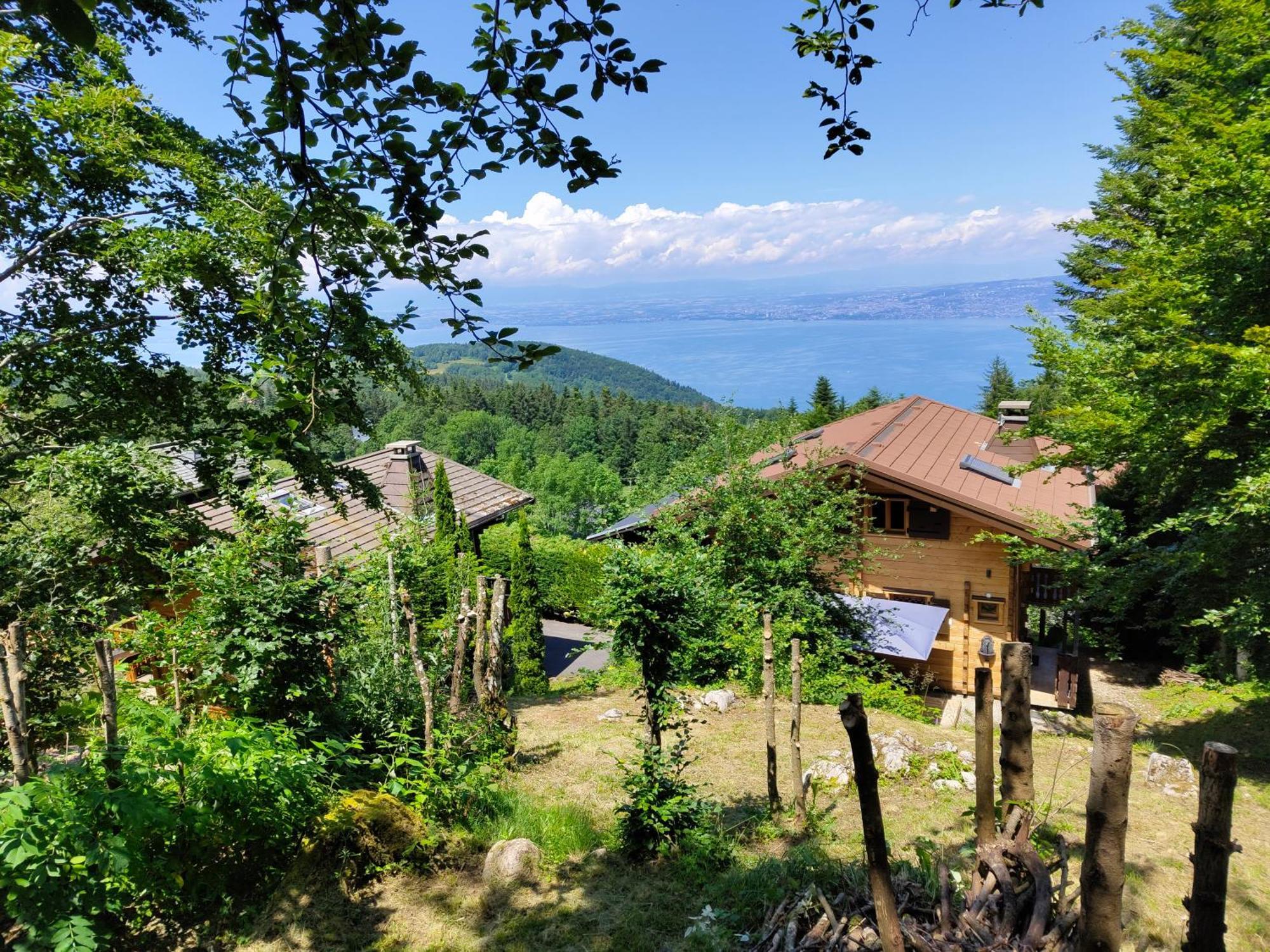 Chalet La Trouvaille Thollon-les-Mémises Extérieur photo